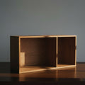 DISPLAY (OPTIONAL)